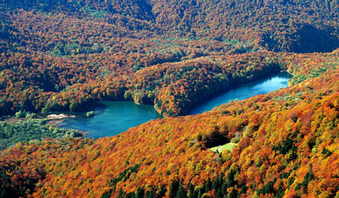 Biogradsko jezero Slider 480 280